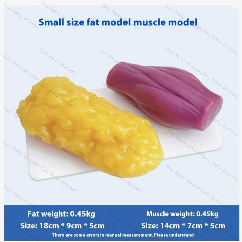 Human Muscle Replicas Weight L - đánh giá và giá Nutrition Fitness Center